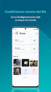 Immagine screenshot
