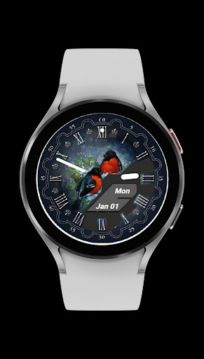 Bullfinches Watch Face screenshot 12