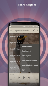 Myna Bird Sounds