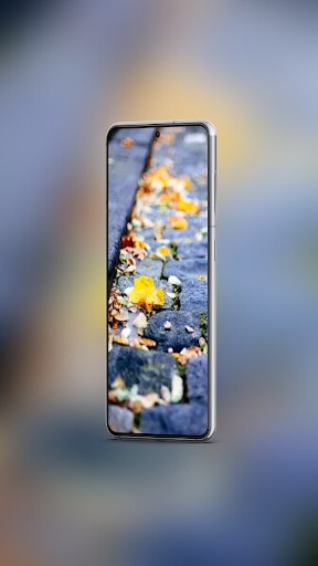 Autumn Aesthetic Wallpaper Screen 2