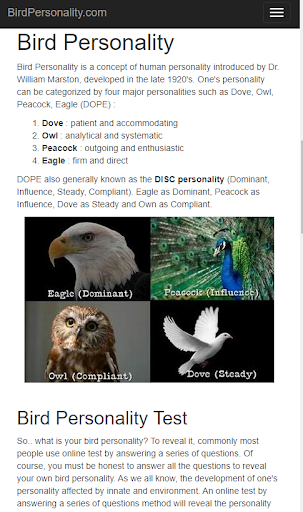 Bird Personality