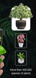 Plant ID MOD APK- Plant Identification PictureThis (Premium) 2