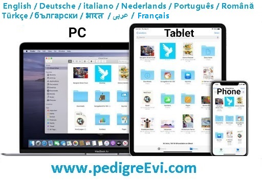 Android application Pedigree screenshort