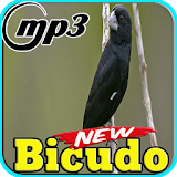 Canto De Bicudo Brasil Top Mp3 icon