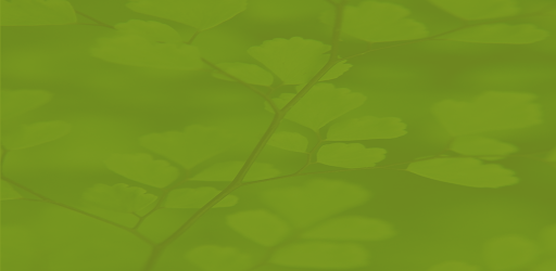 Good Karma Screen 2