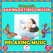 Top 39 Music & Audio Apps Like Relaxing Musics- Dinlendirici Muzikler- Offline - Best Alternatives