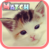 Cute Kitten Match - Memory app icon