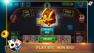 29 Card Game Plus - Screenshot 3