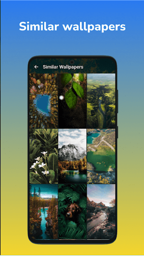Hình nền điện thoại 4K FullHD