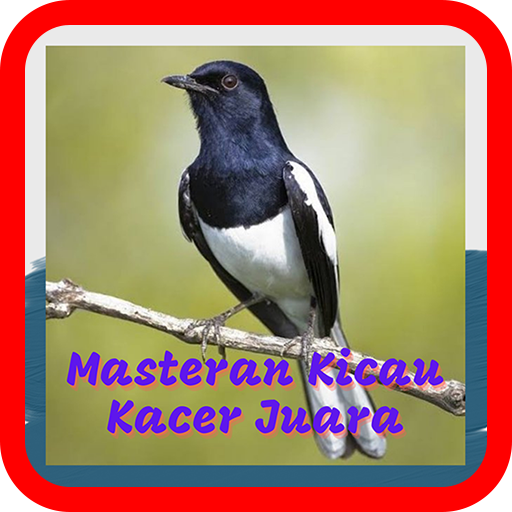 Masteran Kicau Kacer Juara logo