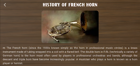French Horn Instrument