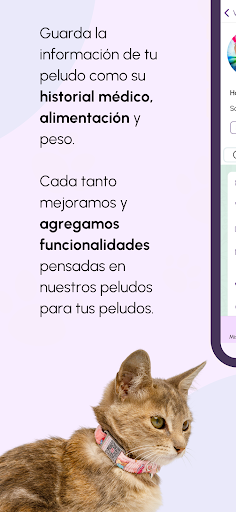 GuapeApp Screen 3