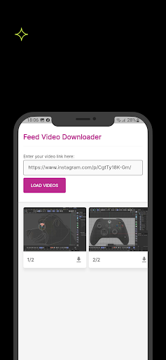 Feed Video Downloader Screen 3