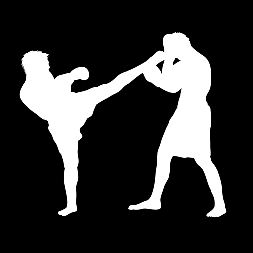 Taunusfighter Idstein logo