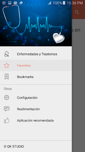 Vista previa de la aplicación