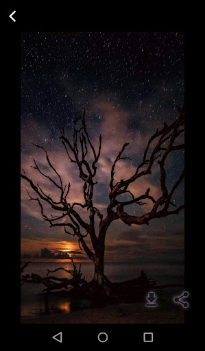 Nature wallpapers android HD Screen 2