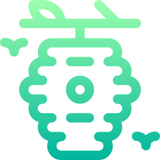81 wordz logo