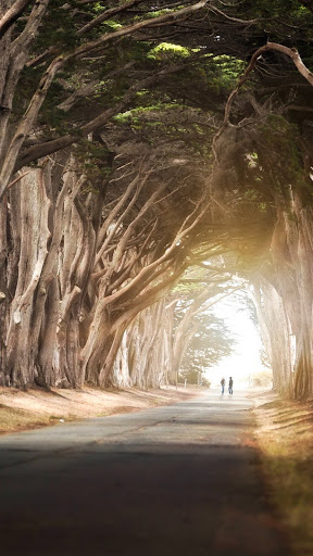 Road Wallpapers Screen 2
