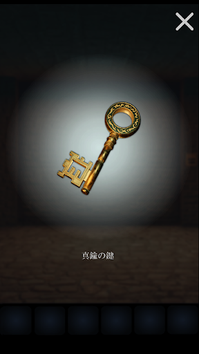 Night in the Deep Forest