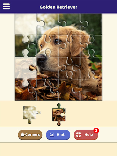 Golden Retriever Puzzle