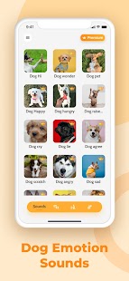 Dog Translator: Game For Dogs Screenshot