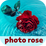 photo rose icon