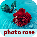 photo rose 