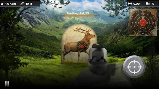 Deer Target Shooting