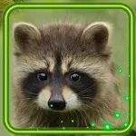 Cover Image of ダウンロード Animals Forest Live Wallpaper  APK