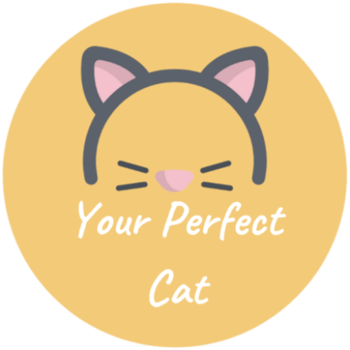 Your perfect cat logo