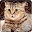 Cat Password Lock Screen Download on Windows