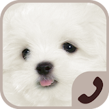 cute puppy EXdialer theme icon
