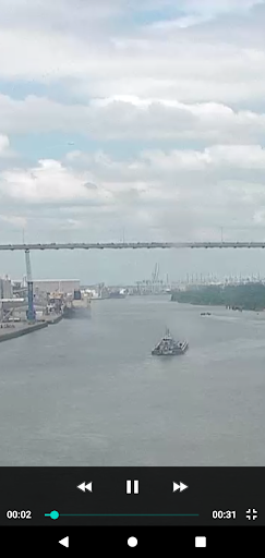 Savannah Cams Screen 3