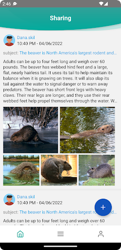 Beaver Life Screen 2