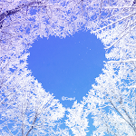 Cover Image of डाउनलोड 카카오톡 테마 - 겨울의 사랑  APK