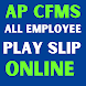 AP All Employees Salary Slips