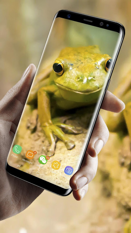 Frog Live Wallpaper - 1.0.2 - (Android)