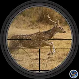 Sniper Deer Hunter 3D icon