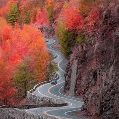 Nature Jigsaw - Screenshot 1