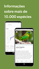 Imagem da captura de tela