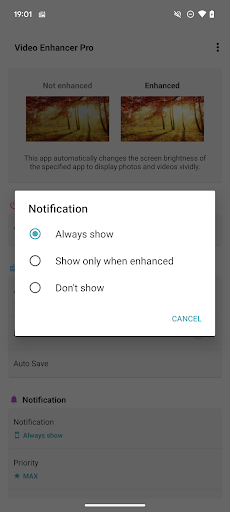 Screenshot of Video Enhancer Pro