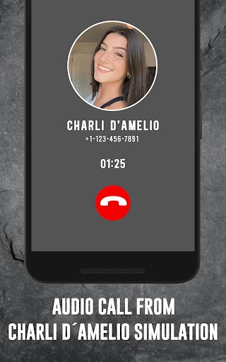 Charli Damelio Fake Video Call Screen 2
