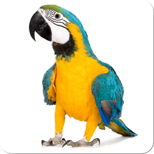 Bird Sounds logo