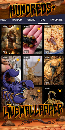 scorpion wallpaper Screenshot 3 - AppWisp.com