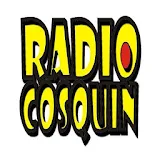 Radio Cosquín Fm 93.3 icon