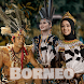 Musik Sape Dayak Borneo Offlin