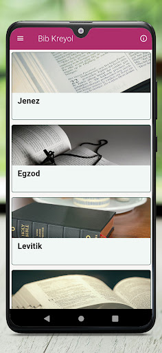 Bib Kreyol Screen 3