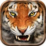 Tame Tiger Locker Live Theme icon