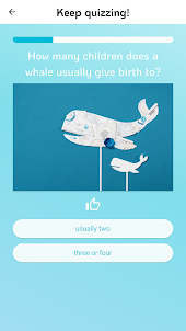 Das Wale-Quiz
