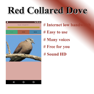 Dove light birds sound. v5.0 APK (MOD,Premium Unlocked) Free For Android 4